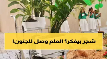 السعودية تطور أشجارًا ذكية ترسل تقارير عبر واتساب لصحة 25 ألف مدرسة محولة إلى غابات تفاعلية 1